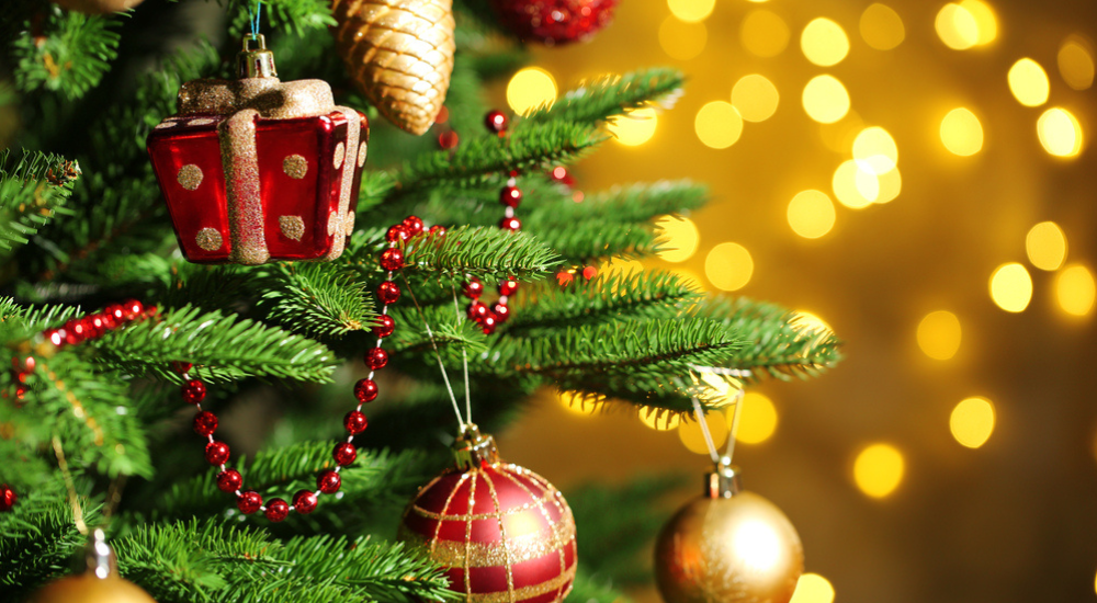 SureCare Bolton prepares for first ever Christmas Party