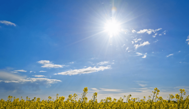 Staying Cool and Safe: Hot Weather Tips for Older Adults