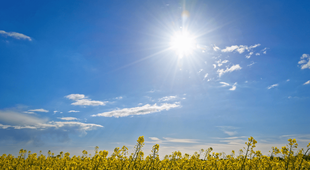 Staying Cool and Safe: Hot Weather Tips for Older Adults